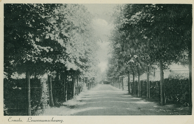 1064 - De Leuvenumseweg met een rij bomen aan weerszijden van de weg. Achter de bomen hoge heggen