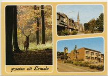 5170 - Ansichtkaart met drie afbeeldingen: 1. damhert in bos, 2. Stationsstraat en 3. Gemeentehuis