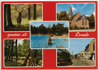 5171 - Ansichtkaart met vijf afbeeldingen. 1. Een damhert, 2. Oude Nederlands Hervormde kerk, 3. het bosbad, 4. ...