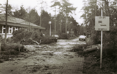 6044 - Een zware storm raasde over de Veluwe, waarbij veel bomen werden gekraakt of ontworteld. De schade is enorm