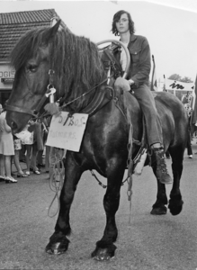 7033ERM001007033 00-09-1973