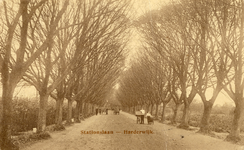 Nr.: 70 - Stationslaan Harderwijk grindweg met bomen, handkarren en paard en wagen