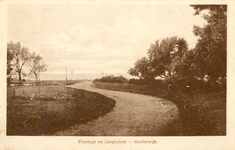 Nr.: 159 - Plantage en Zeegezicht - Harderwijk zandpad met aan weerszijden bosjes, in de verte de toenmalige Zuiderzee