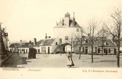 Nr.: 175 - Harderwijk. Vischpoort de witte vuurtoren met de Vischpoort , aan weerszijden muurhuisjes, door de poort is ...