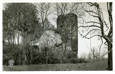 389_59-094 Burchtruïne Millen Van het eerste kasteel, dat in 1287 afbrandde, is niets meer terug te vinden op de ...