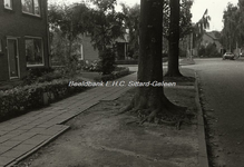EHC-0000176 De kruising Zwaluwstraat, Daalstraat en de Ruysdaellaan met oude bomen