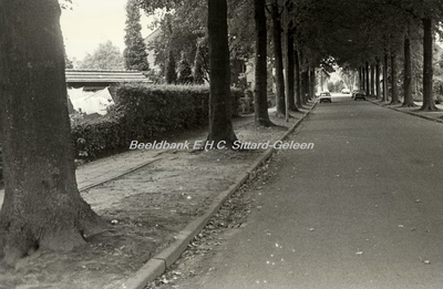EHC-0000189 De Zwaluwstraat met oude bomen