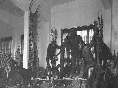 2868 Natuurhistorisch Museum met opgemaakte dieren in Klooster Watersleyde (Watersley)Apen uit de verzameling opgezette ...