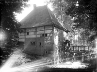 2920 Banwatermolen bij Kasteel Ter Borch te SchinnenOliemolen, vakwerkbouw uit de 17e of 18e eeuw
