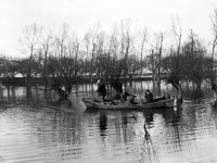 ehc_gp_047 Hoog water, bootje tussen de knotwilgen in de wei 09-01-1937
