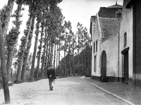 ehc_gp_089 Hoge bomen en oude huizen 26-06-1937