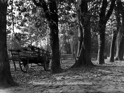 ehc_gp_114 Open kar tussen de oude bomen met vallende bladeren tijdens de herfst 29-10-1937