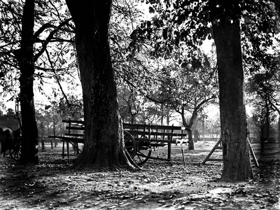 ehc_gp_117 Open kar tussen de oude bomen met vallende bladeren tijdens de herfst 29-10-1937