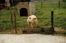 736_032 Boerderij Ophovenerhof