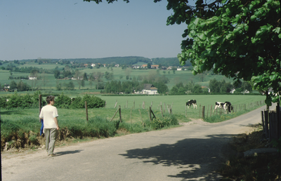 31_Y-465 Limburg