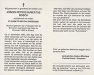 826_env-B3_0031 Bosch , Jospeh Petrus Hubertus : geboren op 17 oktober 1911 te Bunde , overleden op 28 maart 1983 te Sittard