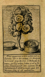 PC_MVG_011A Het wonderdadige bloemstuk, na 1617