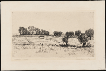 SPUIJBROEK_D_006 Landschap op het eiland Voorne, ca. 1935