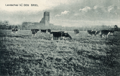 PB0440 Gezicht op Brielle vanuit de polder, ca. 1921