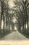 PB1099 Een man met een paard op de Straatweg van Brielle naar Hellevoetsluis, ca. 1904