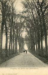 PB1099 Een man met een paard op de Straatweg van Brielle naar Hellevoetsluis, ca. 1904