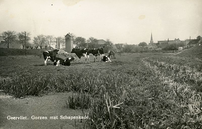 PB2549 Panorama van Geervliet, met koeien en transformatorgebouw, ca. 1940