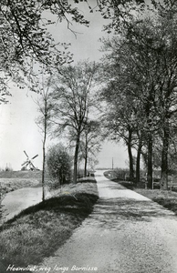 PB2767 Gezicht op de Wieldijk richting de molen, ca. 1950