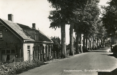 PB4041 Kijkje op de woningen langs de Rijksstraatweg, ca. 1920