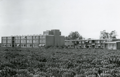 PB4087 Oostzijde van De Rozenhoek, 1974