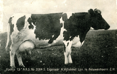 PB4146 Foekje 13, NRS NO 2064, Eigenaar A. Vijfvinkel Lzn. te Nieuwenhoorn, ca. 1914