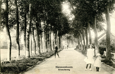 PB4155 Meisjes in witte jurken op de Rijksstraatweg, ca. 1917