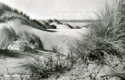 PB4369 Nieuw-Helvoet aan zee: strand en duinen, 1963