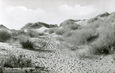 PB4371 De duinen van Nieuw-Helvoet, 1966