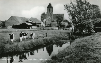 PB4505 De kerk van Nieuw-Helvoet, op de voorgrond koeien in de weide, 1965