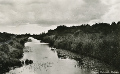 PB4531 Watering in de Duinen van Nieuw-Helvoet, 1962