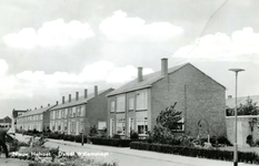 PB4652 Woningen langs de Daniël Willemstraat, 1964