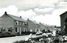 PB4653 Woningen langs de P.C. de Vinkstraat, 1964