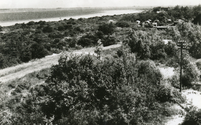 PB4869 De duinen bij het Kruininger Gors, 1955