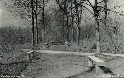 PB5035 Zitbankjes langs een bospad, ca. 1940