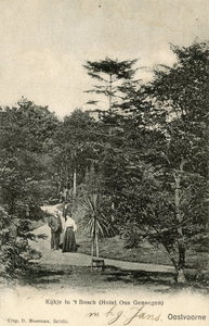 PB5151 Het bos achter Hotel Ons Genoegen, ca. 1910