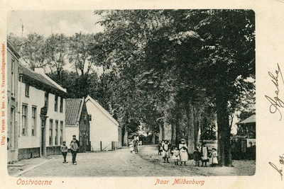 PB5250 Kijkje in de Hoflaan, ca. 1902