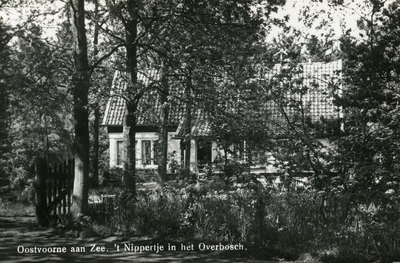 PB5256 Huize 't Nippertje in het Overbosch, ca. 1950