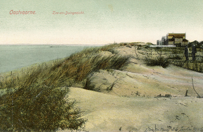 PB5289 Kijkje op de duinen met de hotels langs de Boulevard op de achtergrond, ca. 1917