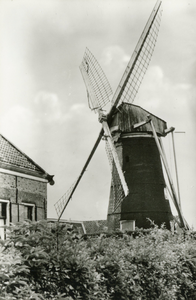 PB5388 De molen van Oostvoorne, 1955