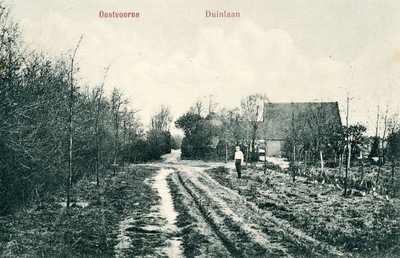 PB5542 Kijkje in de Duinlan, ca. 1925