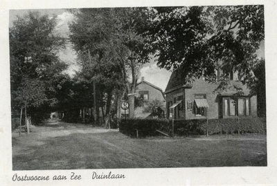 PB5547 Kijkje in de Duinlaan, ca. 1933