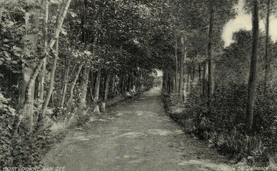 PB5552 Kijkje in de Duinoordseweg, ca. 1918