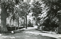 PB5678 Kijkje op de Parklaan, 1966