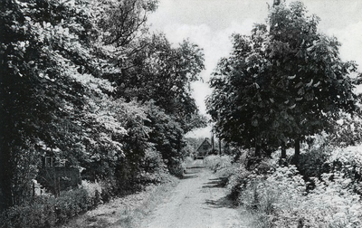 PB5810 Kijkje in de Oosterhoutseweg, ca. 1950