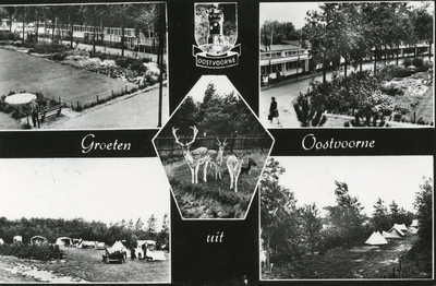 PB5825 Groeten uit Oostvoorne: diverse afbeeldingen van Recreatiecentrum Kruiningergors, ca. 1955